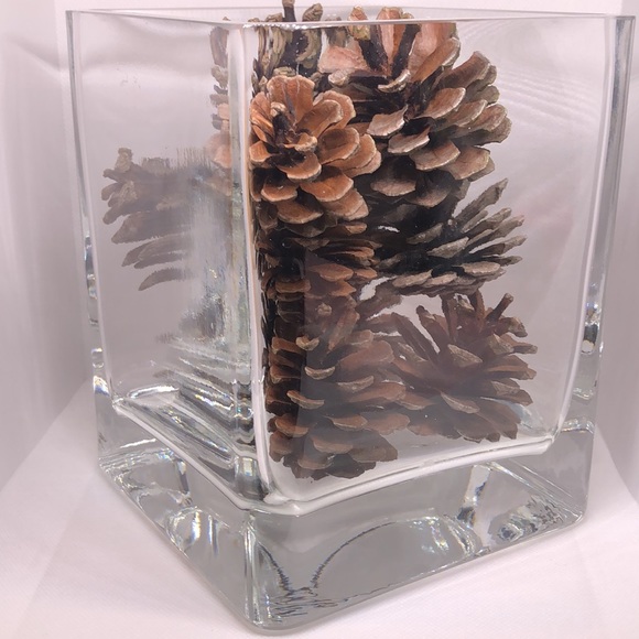 Beautiful Square Heavy Glass Vase with 1 Dozen (12) Northeast Pine Cones 7” Vase - Picture 5 of 8